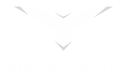 kondor & co logo Кондор и Ко логотип